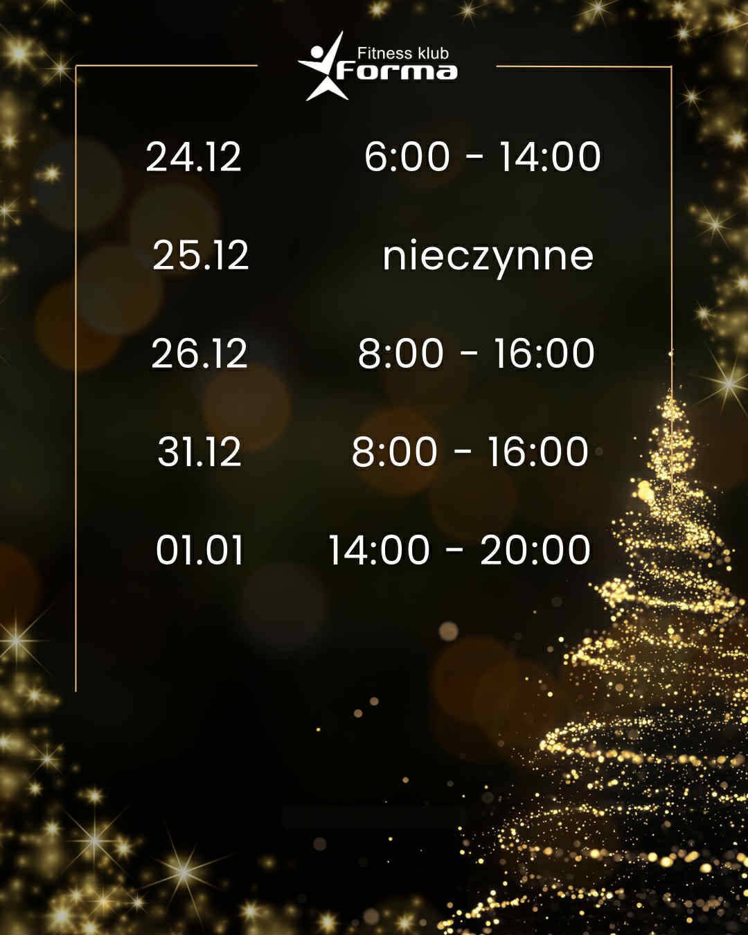 GODZINY OTWARCIA W OKRESIE ŚWIĄTECZNYM